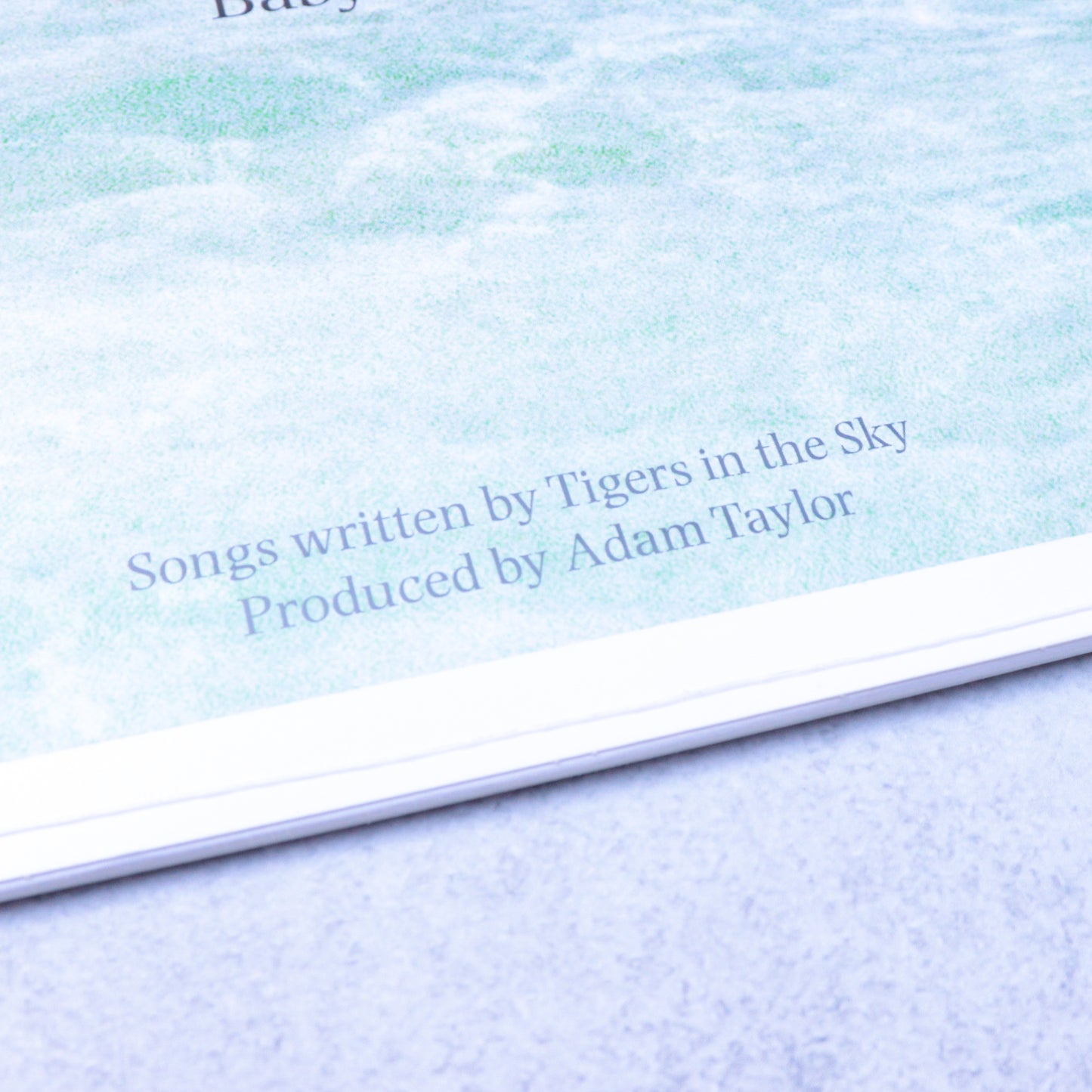 TIGERS IN THE SKY / Lagoons