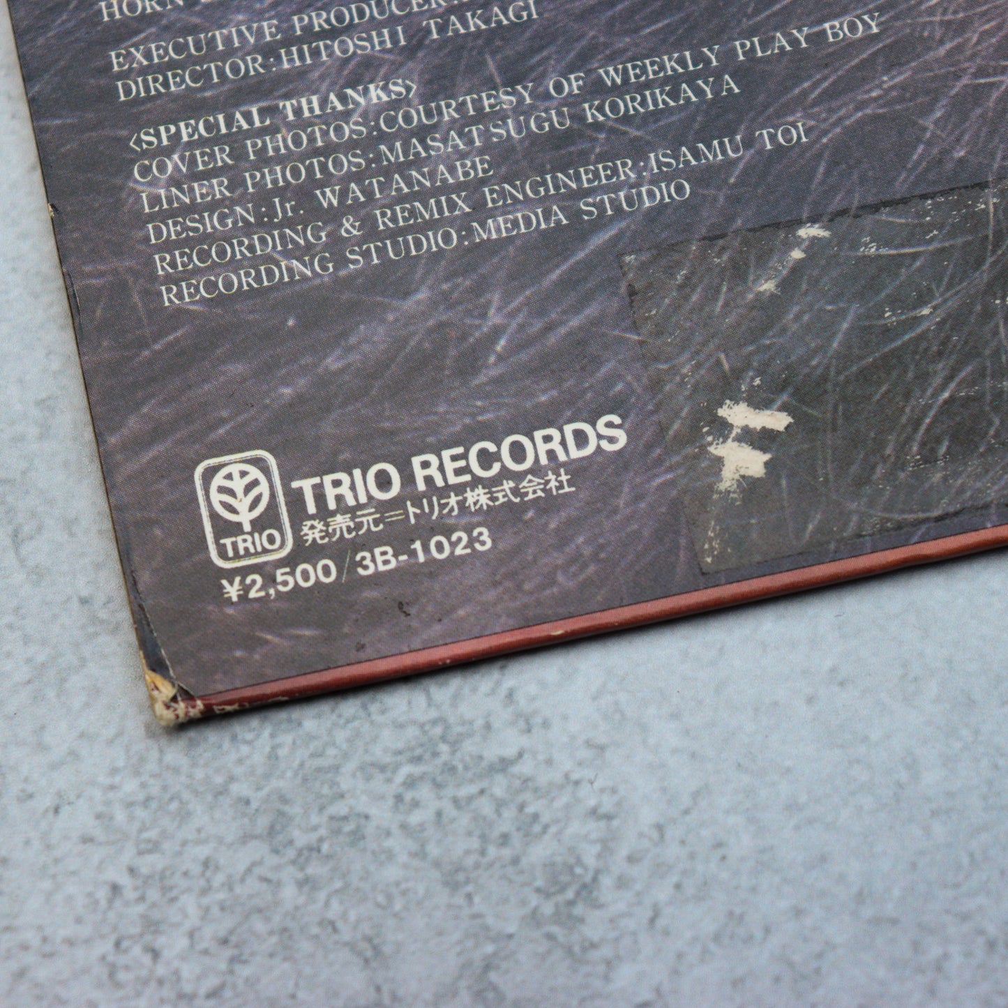 Noriko Miyamoto/Vivid