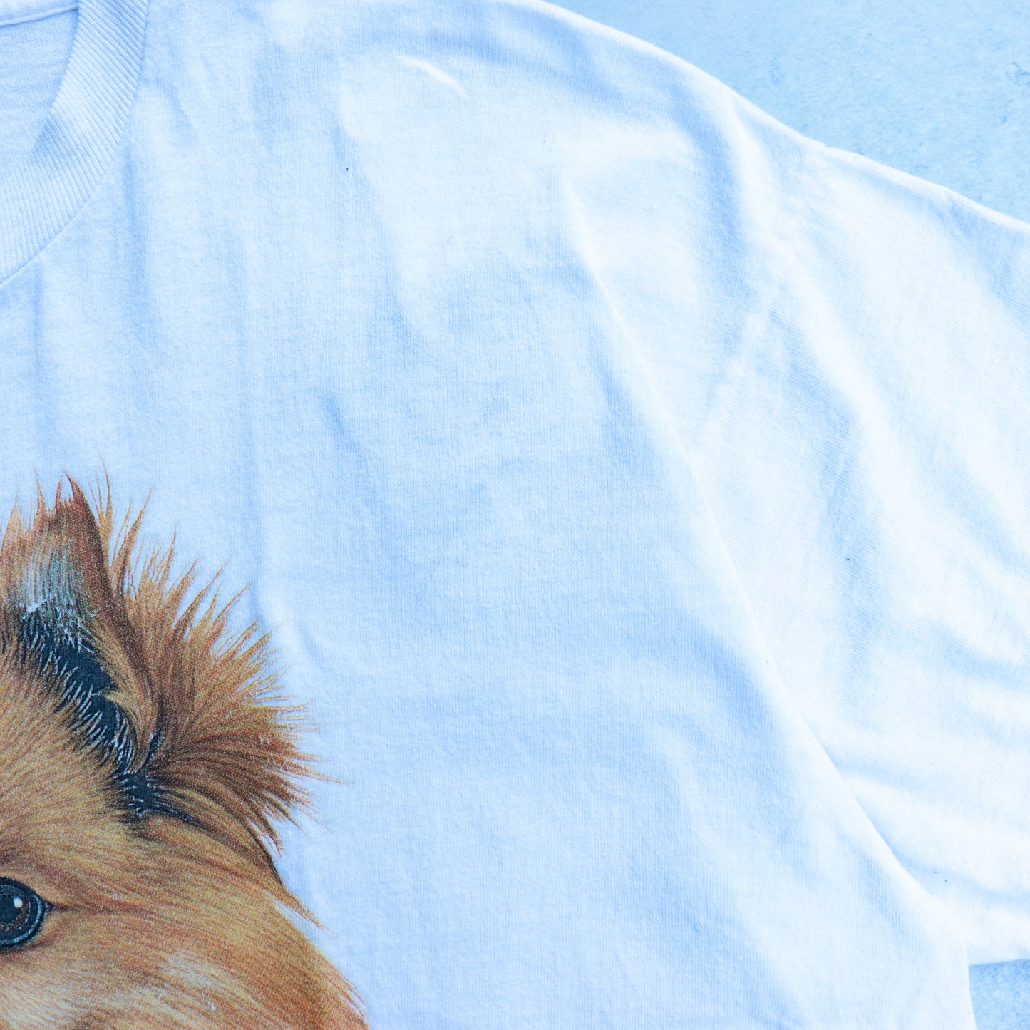 The Dog "POMERANIAN" Tee