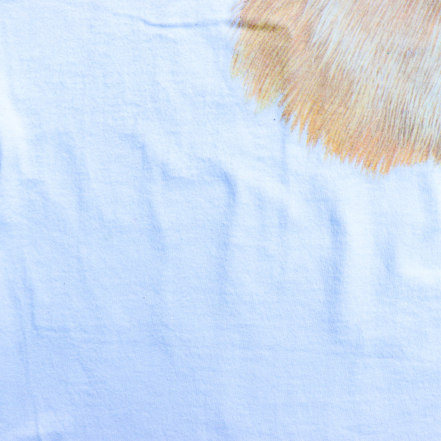 The Dog "POMERANIAN" Tee