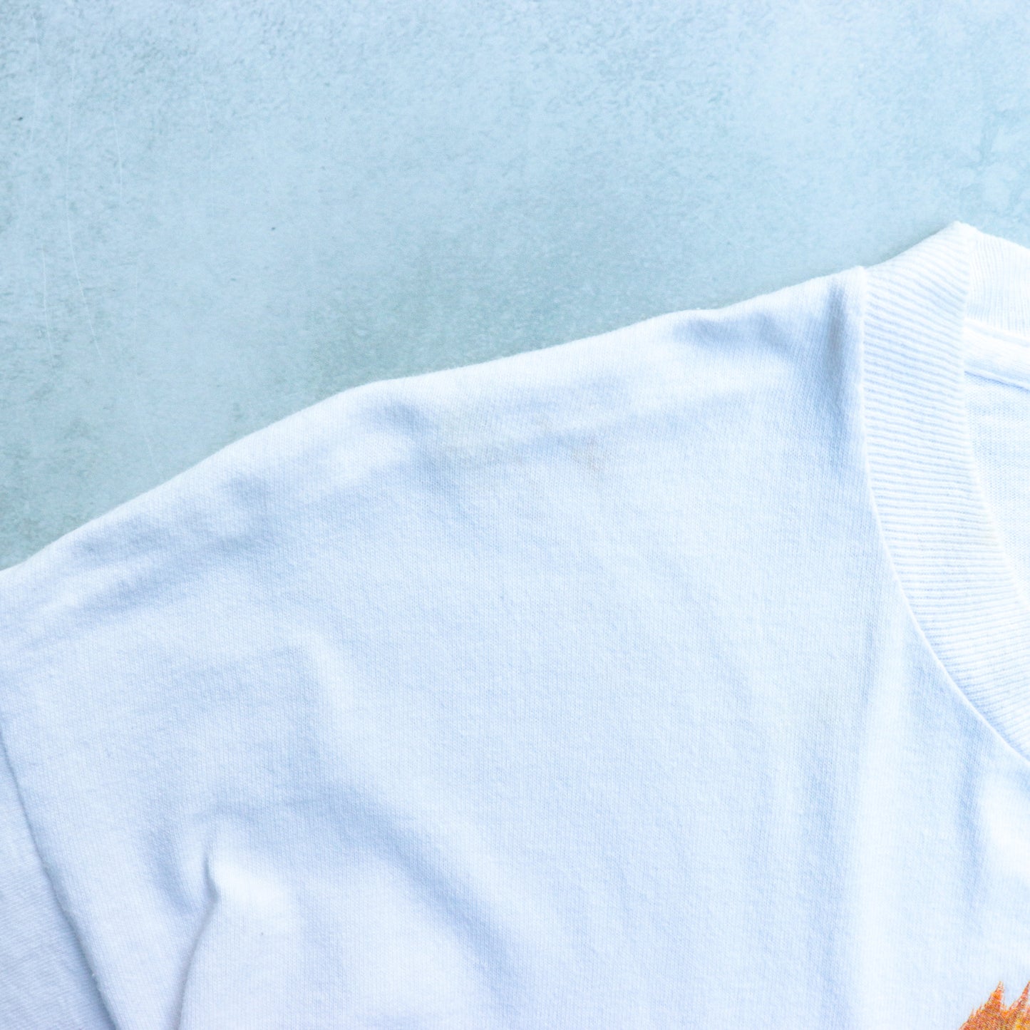 The Dog "POMERANIAN" Tee