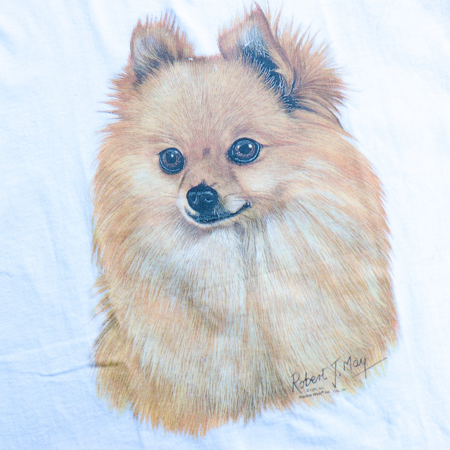 The Dog "POMERANIAN" Tee