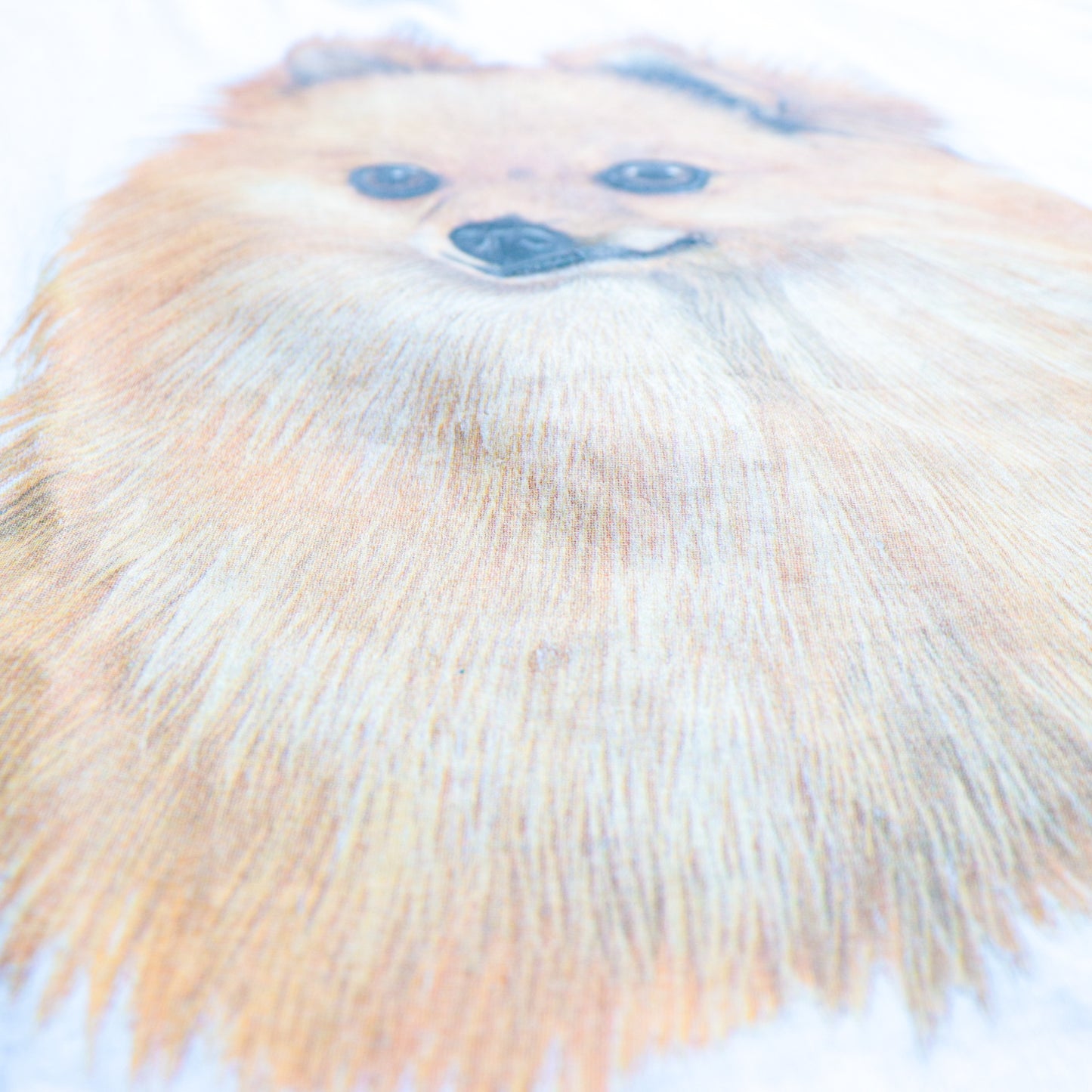 The Dog "POMERANIAN" Tee