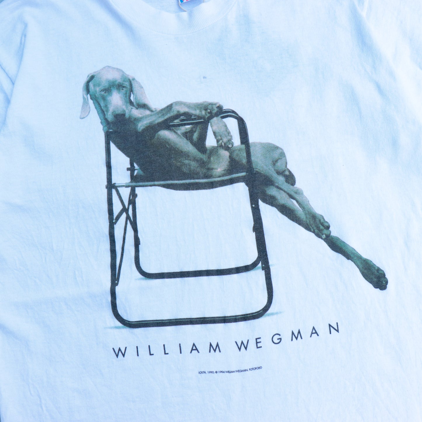William Wegman Tee