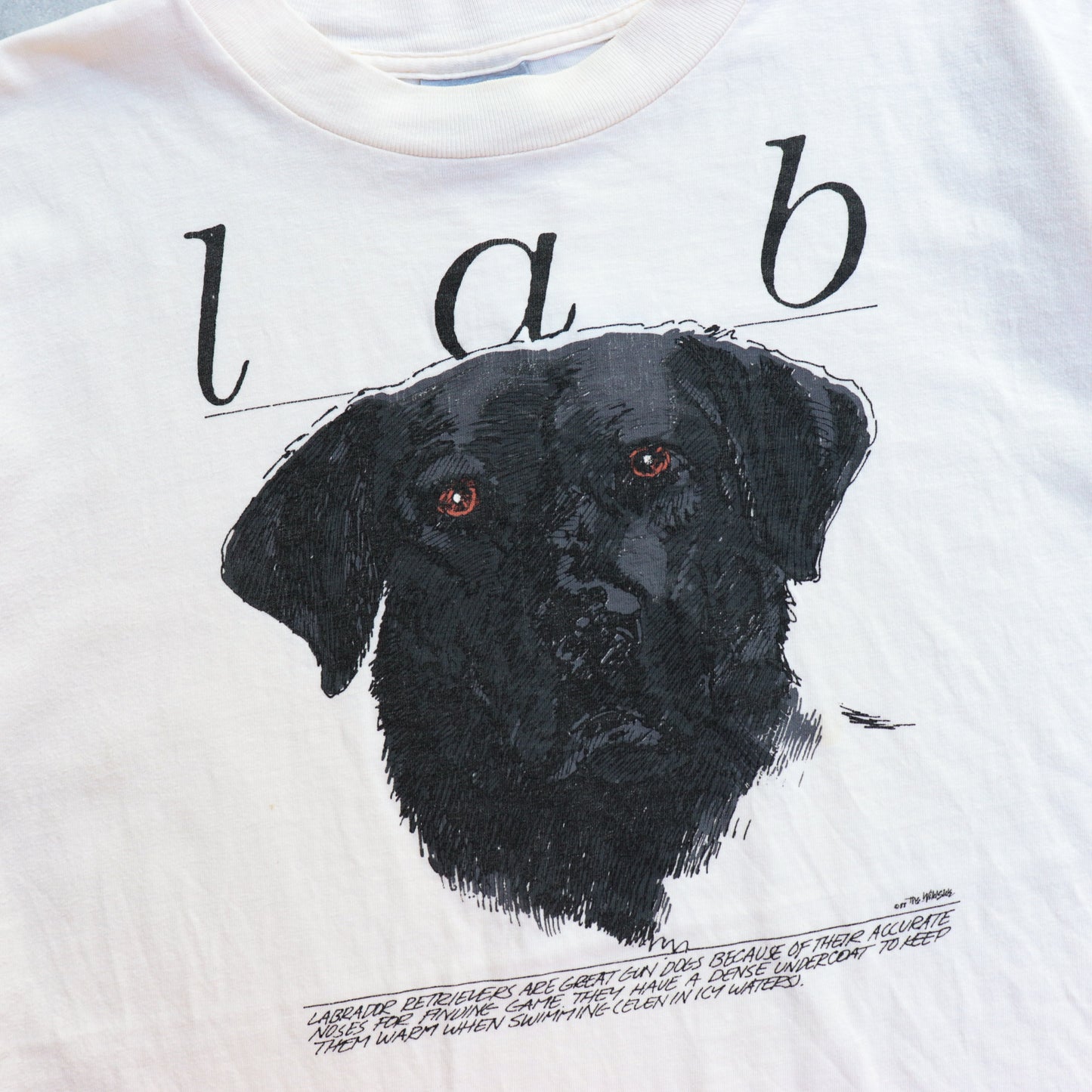 Labrador Face up Tee