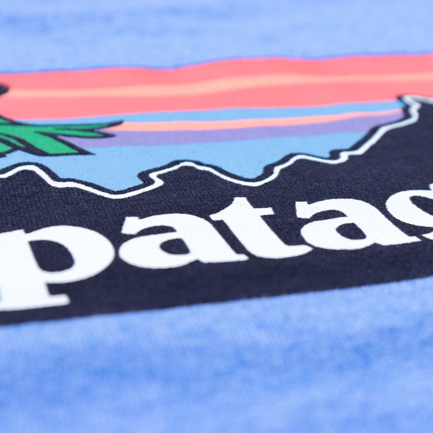 Patagonia Pataloha Tee