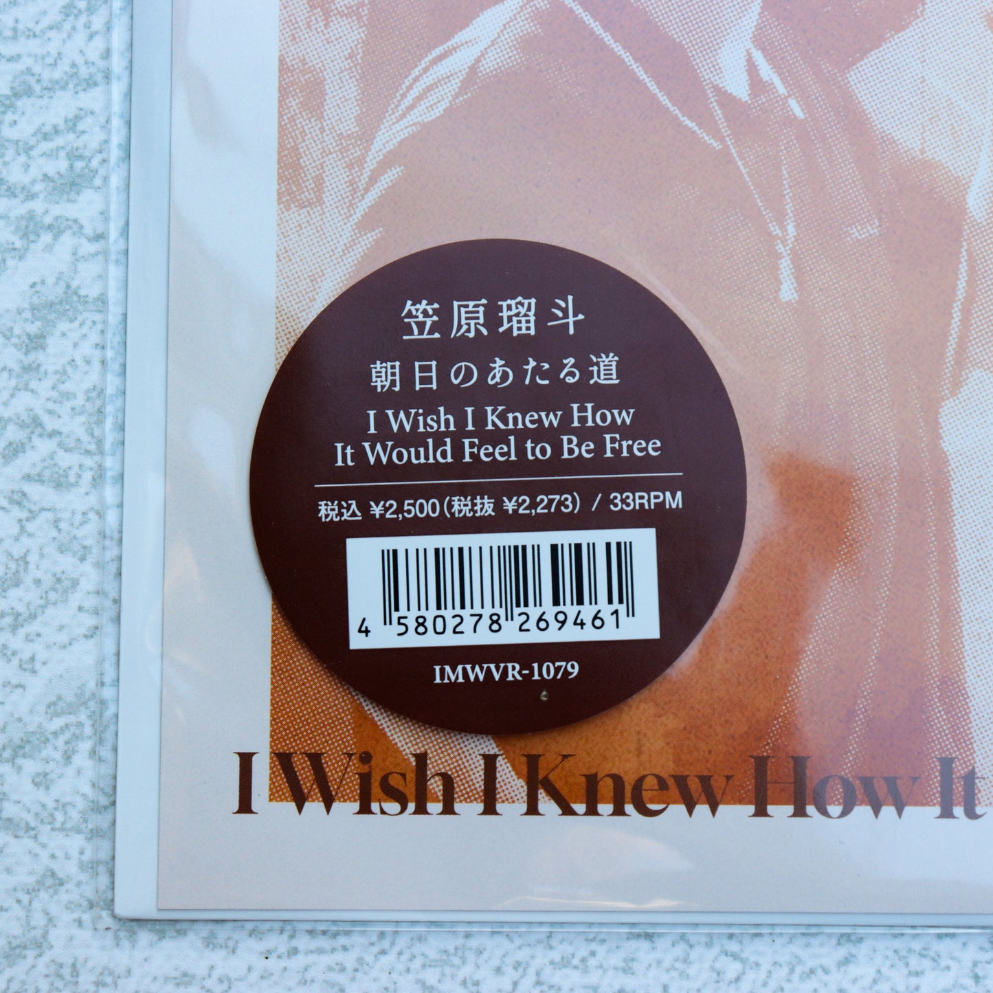 笠原瑠斗 / 朝日のあたる道