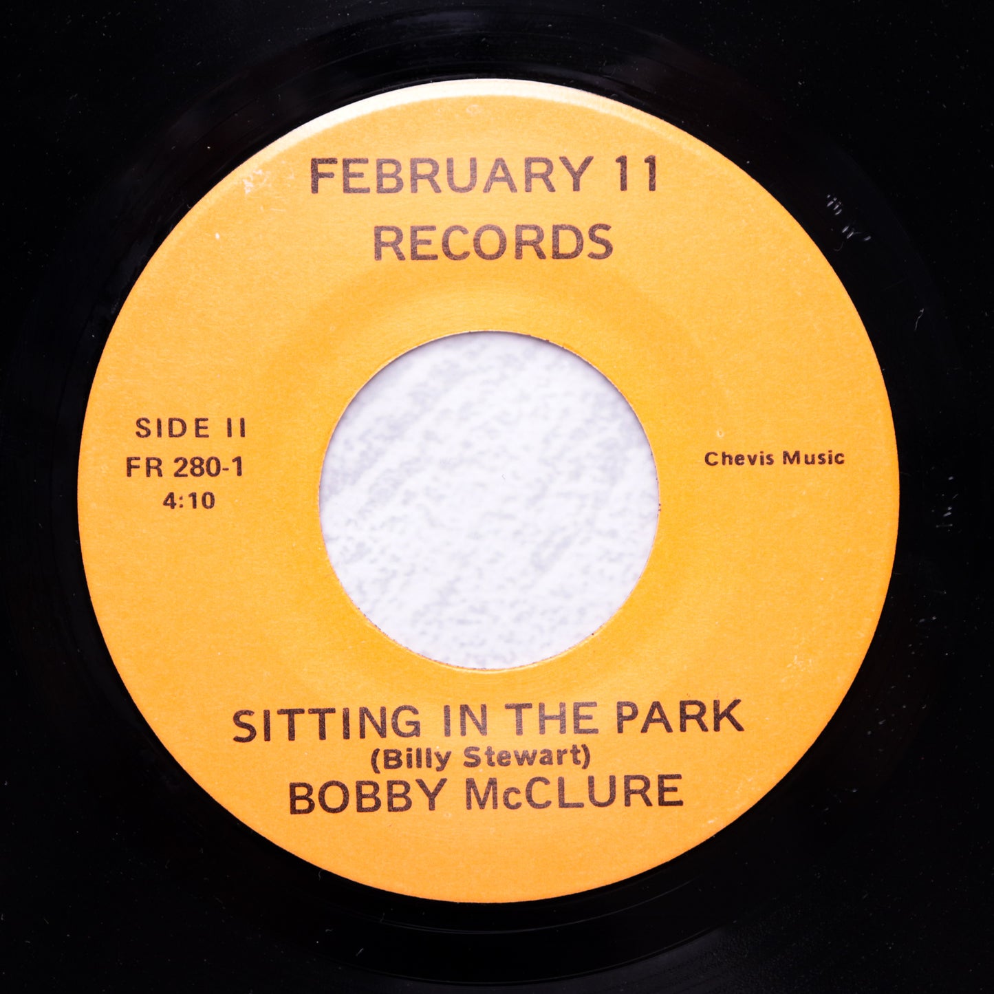 BOBBY MCCLURE / Sitting In The Park