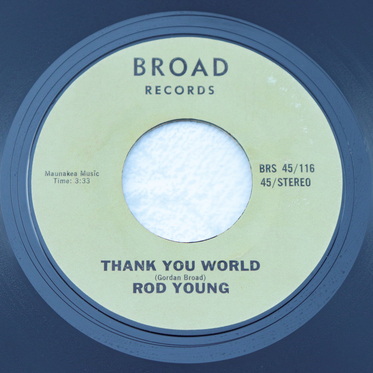 ROD YOUNG / Flies In My Mind