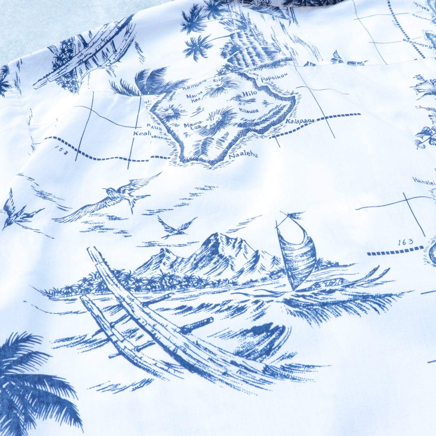 Rai Hani Aloha Shirts