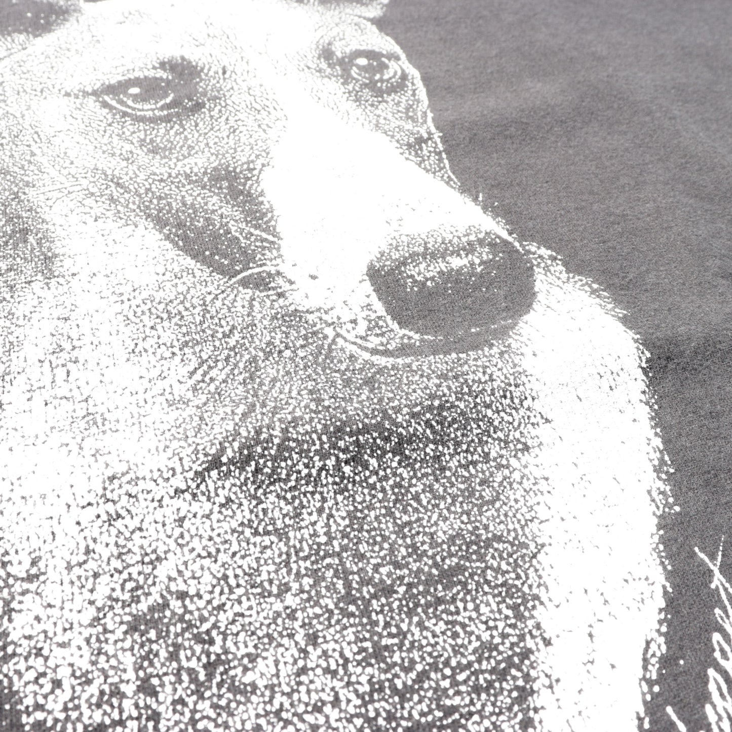 Whippet Face Tee