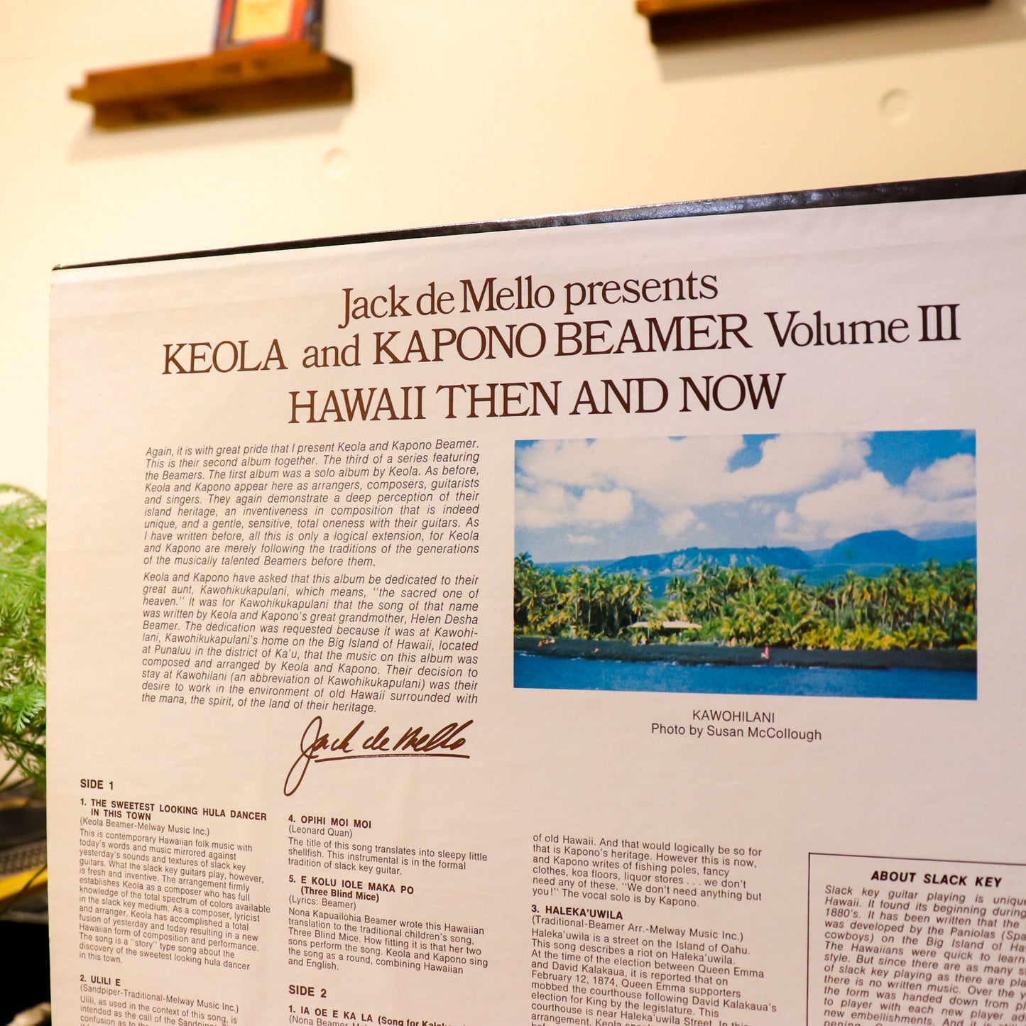 Keola and Kapono Beamer / Hawaii Then And Now