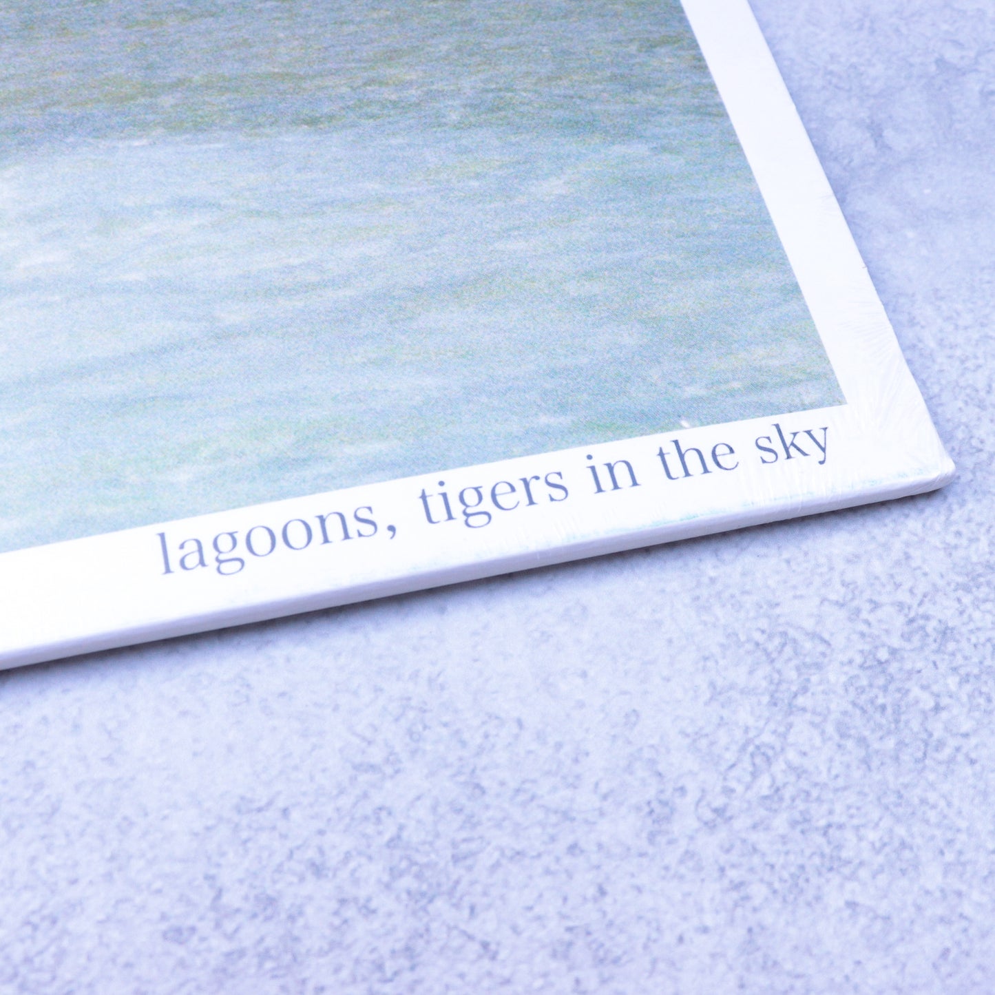 TIGERS IN THE SKY/Lagoons