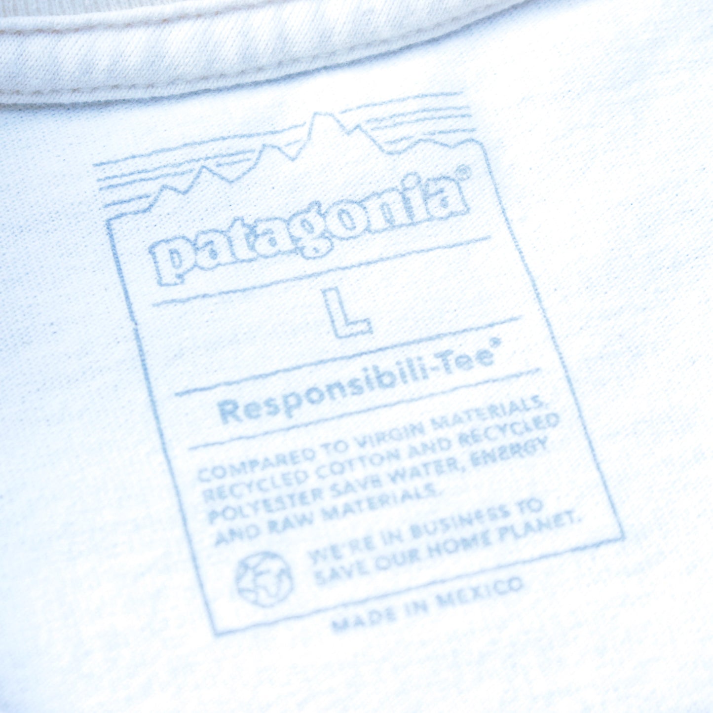 Patagonia Coastal Song Tee