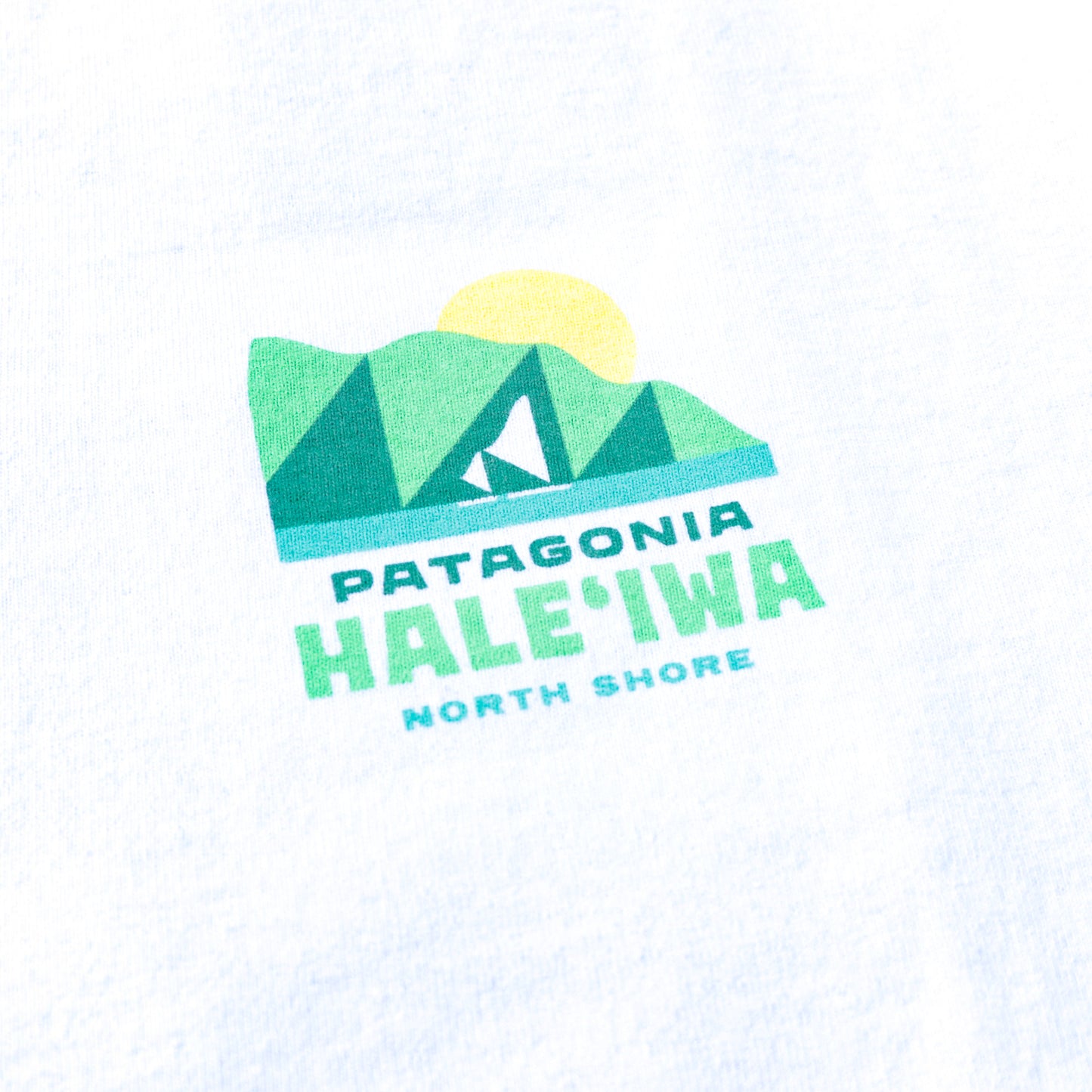 Patagonia Leaf Winds Tee