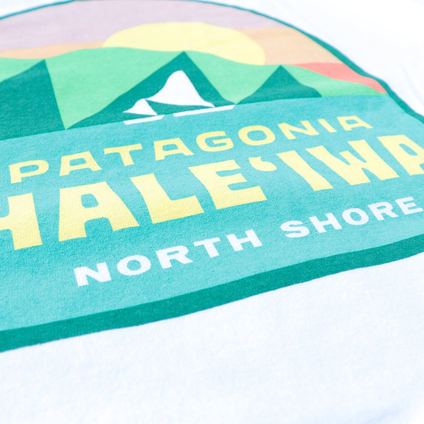 Patagonia Leaf Winds Tee