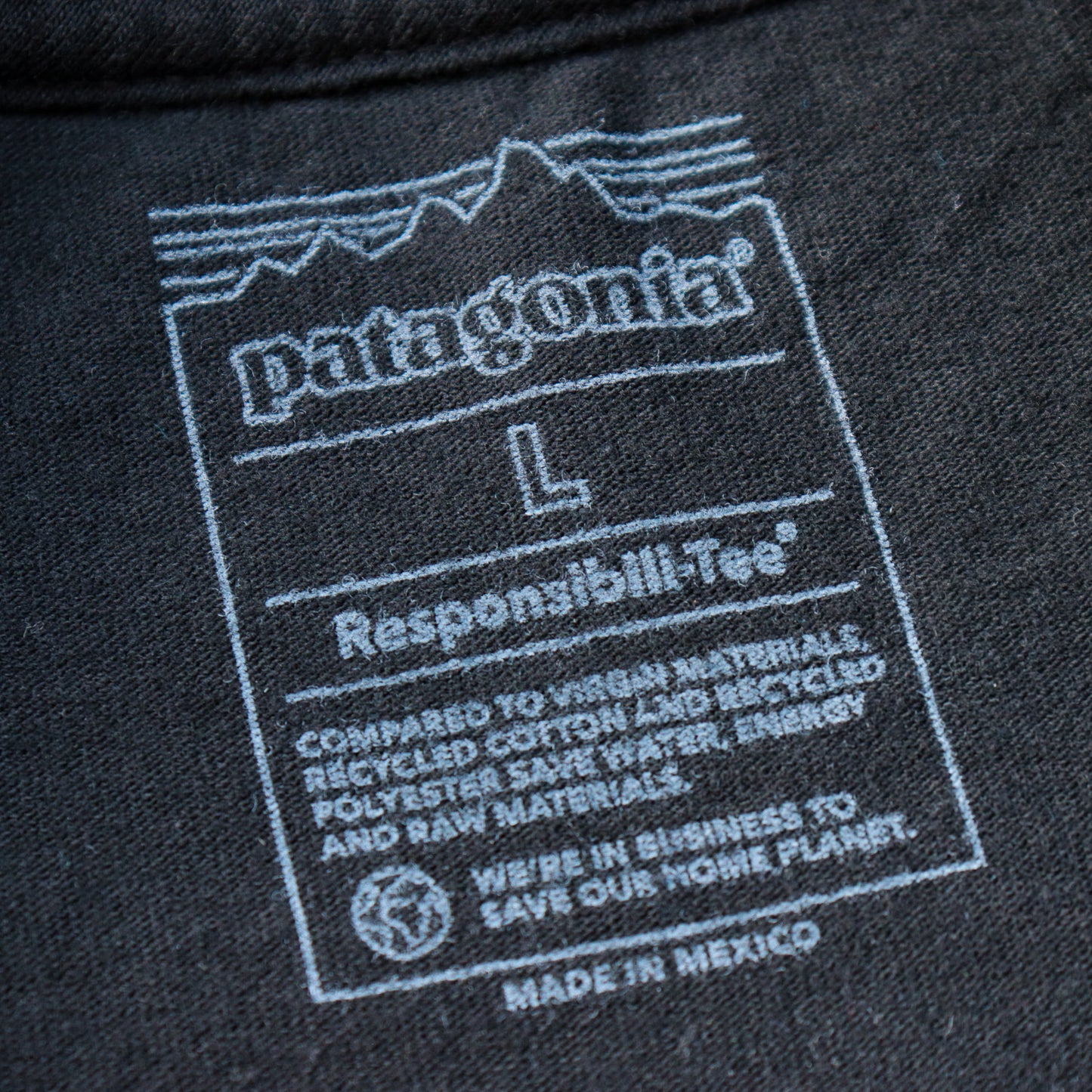 Patagonia Leaf Winds Tee