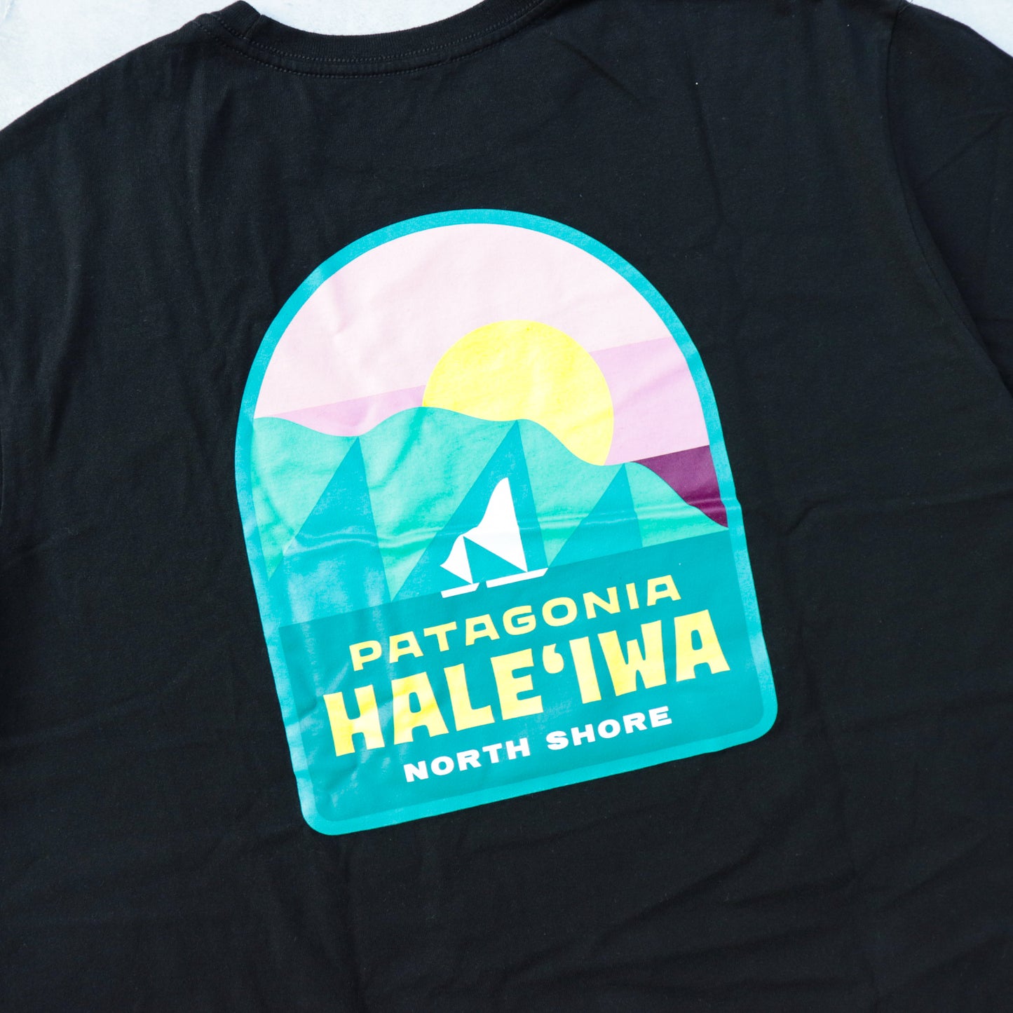 Patagonia Leaf Winds Tee