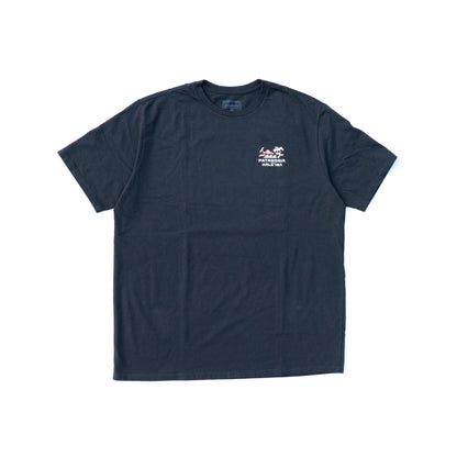 Patagonia Coastal Song Tee