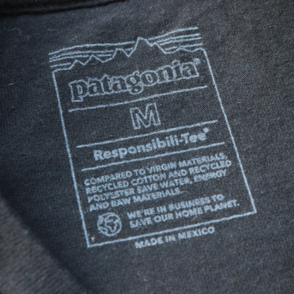 Patagonia Coastal Song Tee