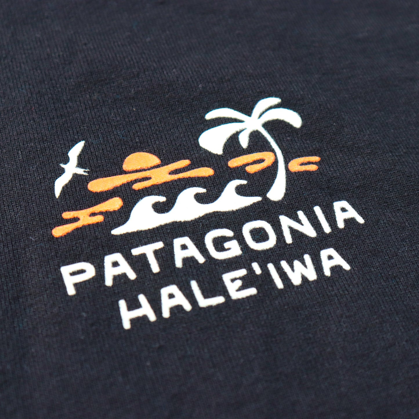 Patagonia Coastal Song Tee