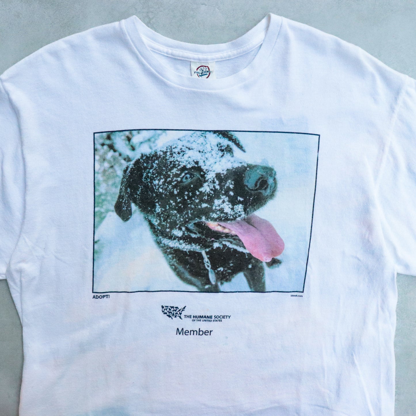 Snowing Dog Photo Tee