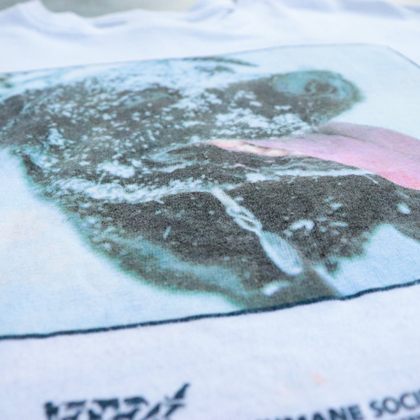 Snowing Dog Photo Tee