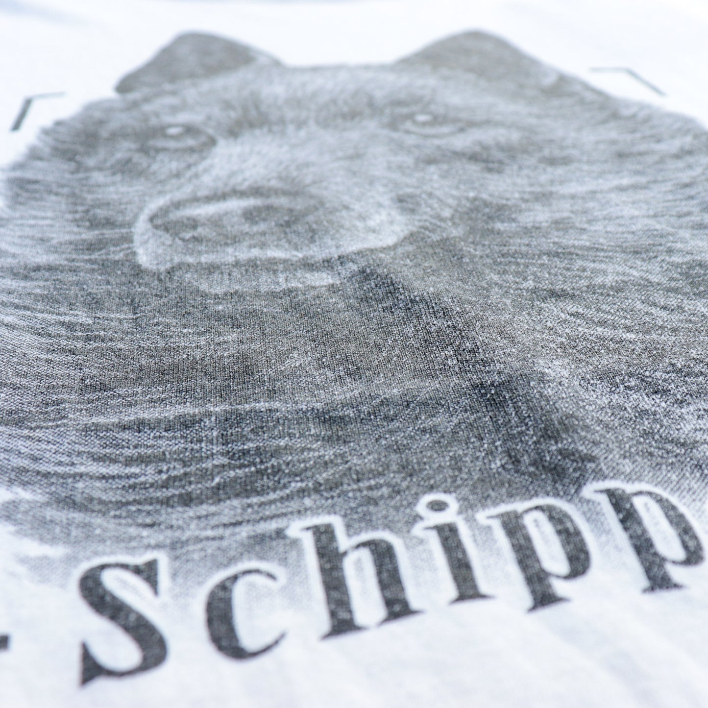 Schipperke Face up Tee