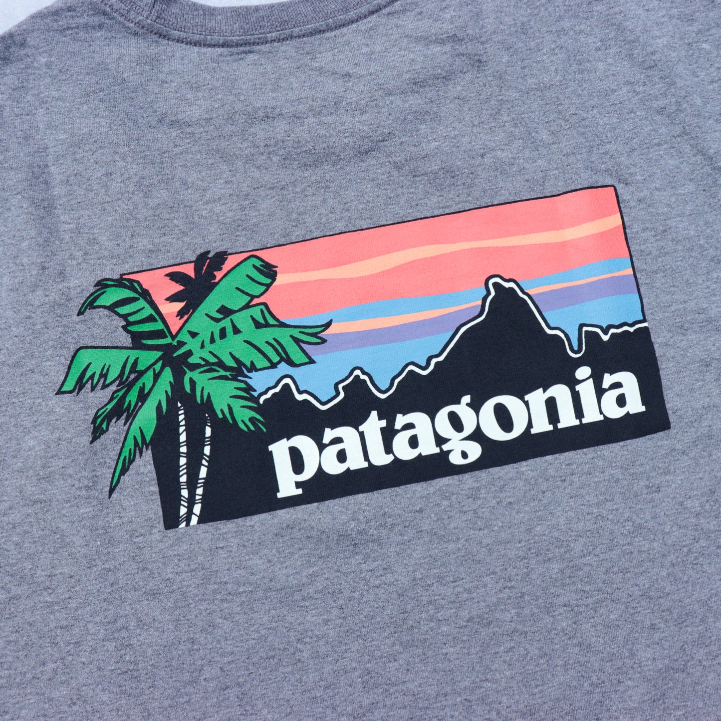 Patagonia Pataloha Tee