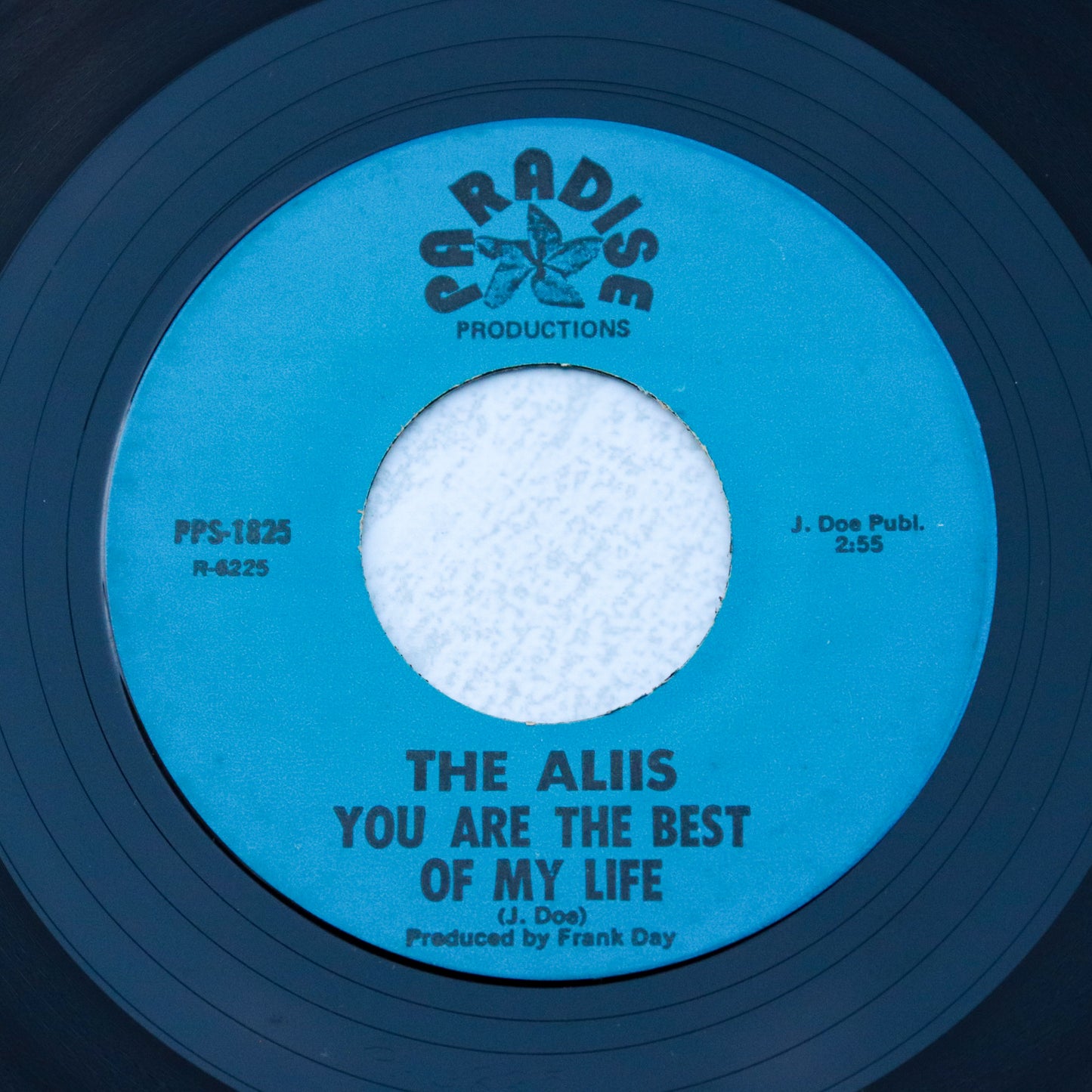 THE ALIIS / You Are The Best Of My Life