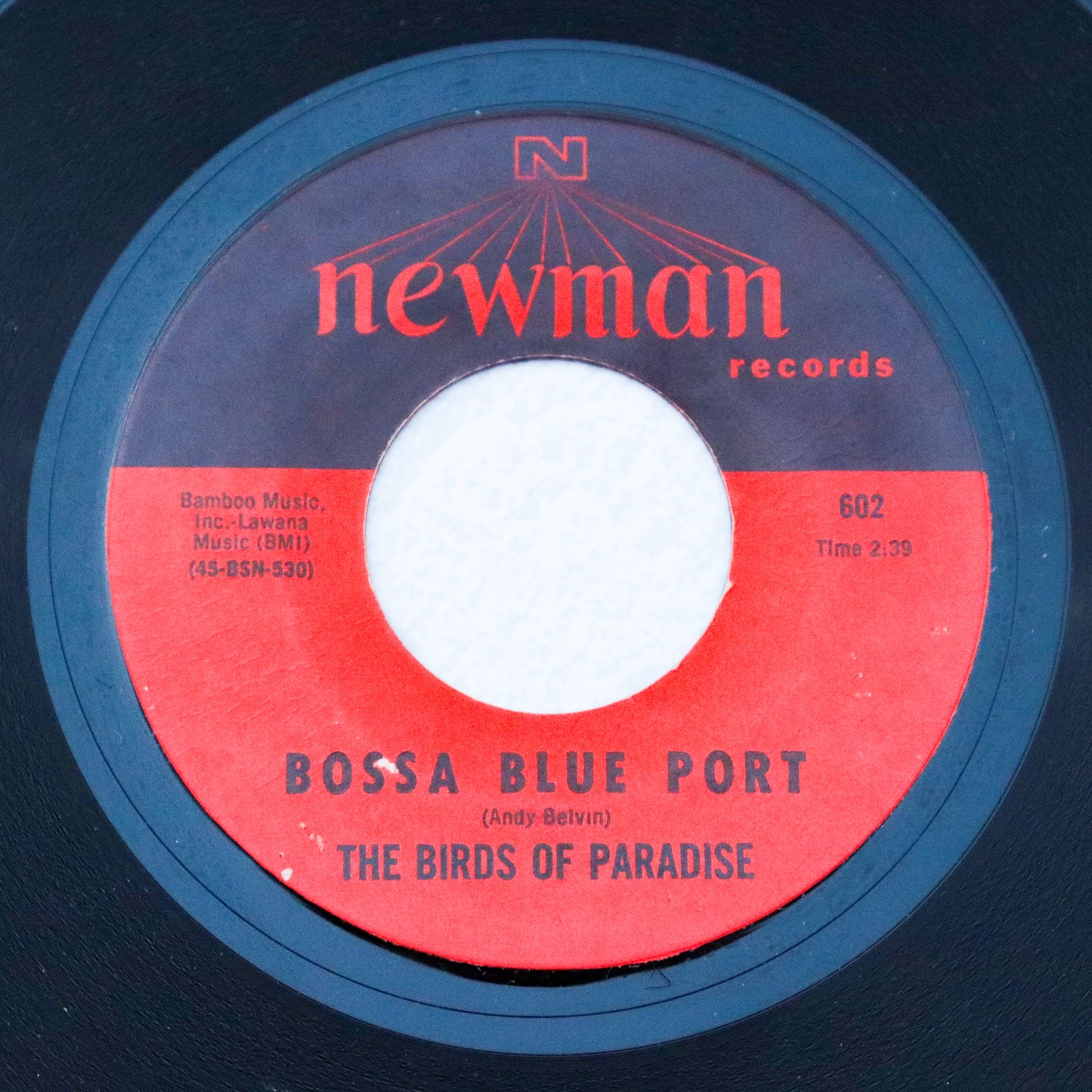 THE BIRDS OF PARADISE / Bossa Blue Port
