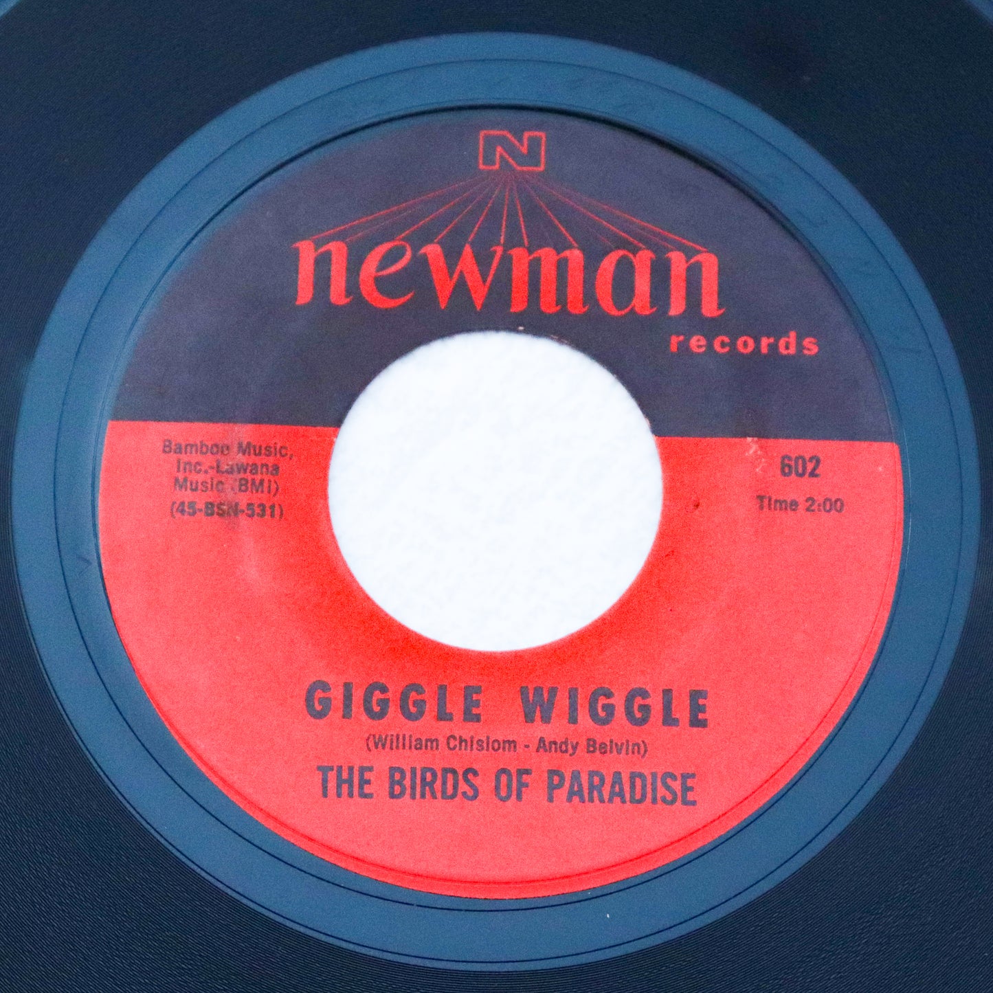 THE BIRDS OF PARADISE / Bossa Blue Port