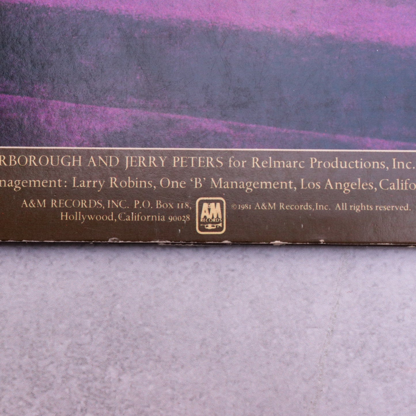 ROCKIE ROBBINS / I Believe In Love