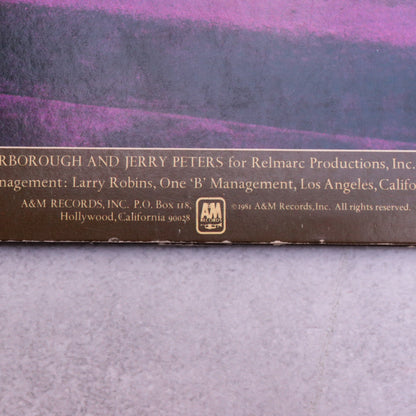 ROCKIE ROBBINS / I Believe In Love