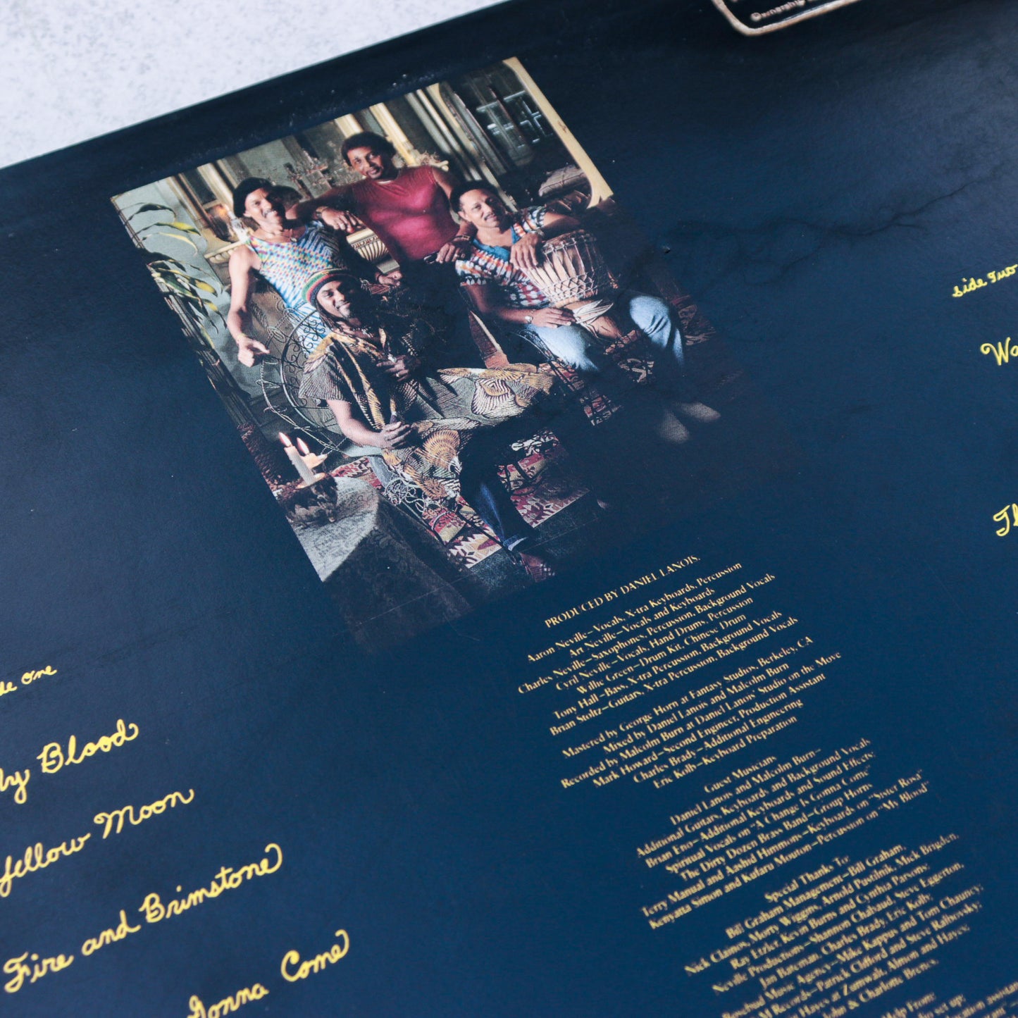 NEVILLE BROTHERS / Yellow Moon