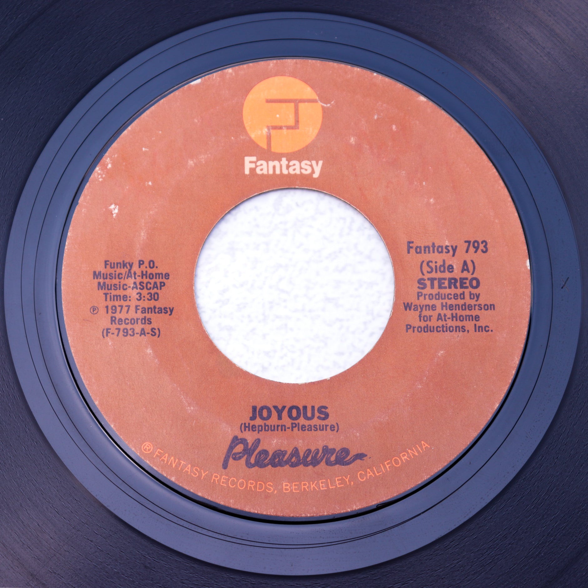PLEASURE / JOYOUS – POOL SIDE