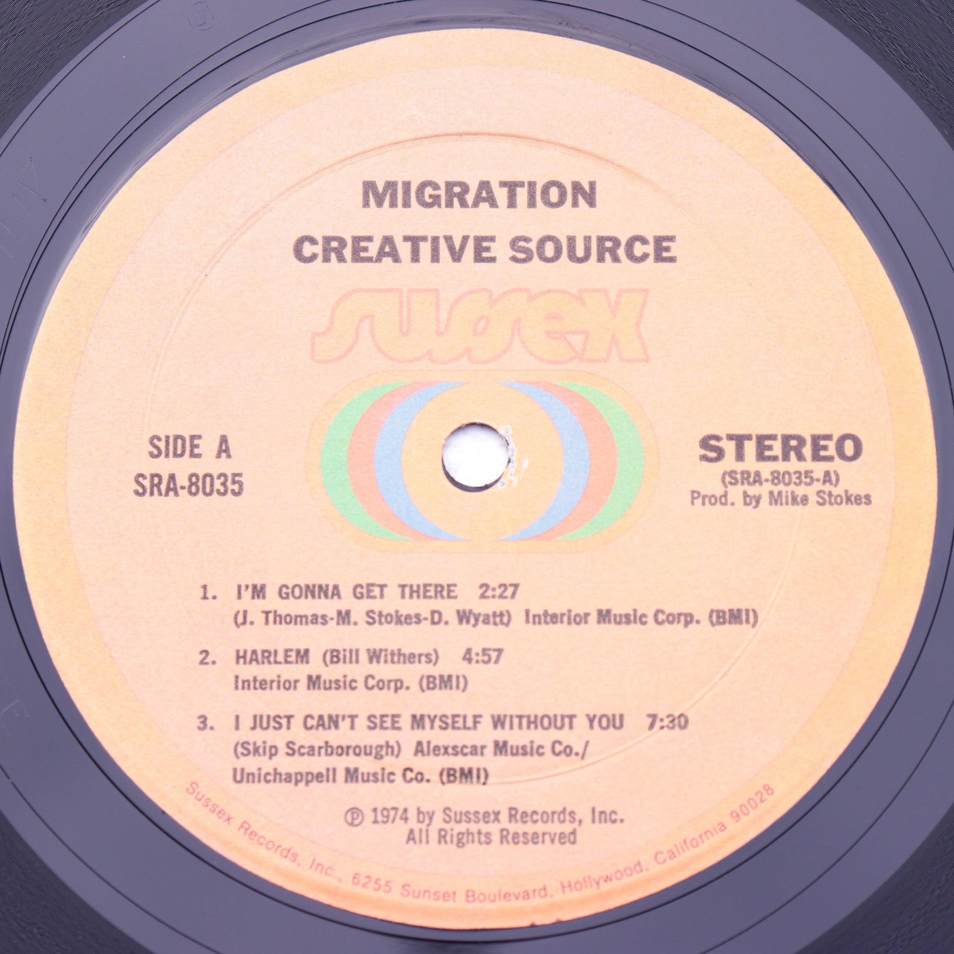 CREATIVE SOURCE / Migration – POOL SIDE