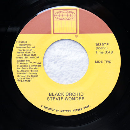 STEVIE WONDER / Ribbon In The Sky