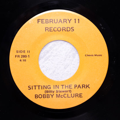 BOBBY MCCLURE / Sitting In The Park