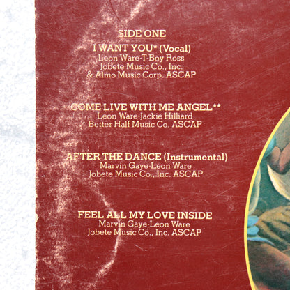 MARVIN GAYE / I Want you