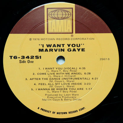 MARVIN GAYE / I Want you