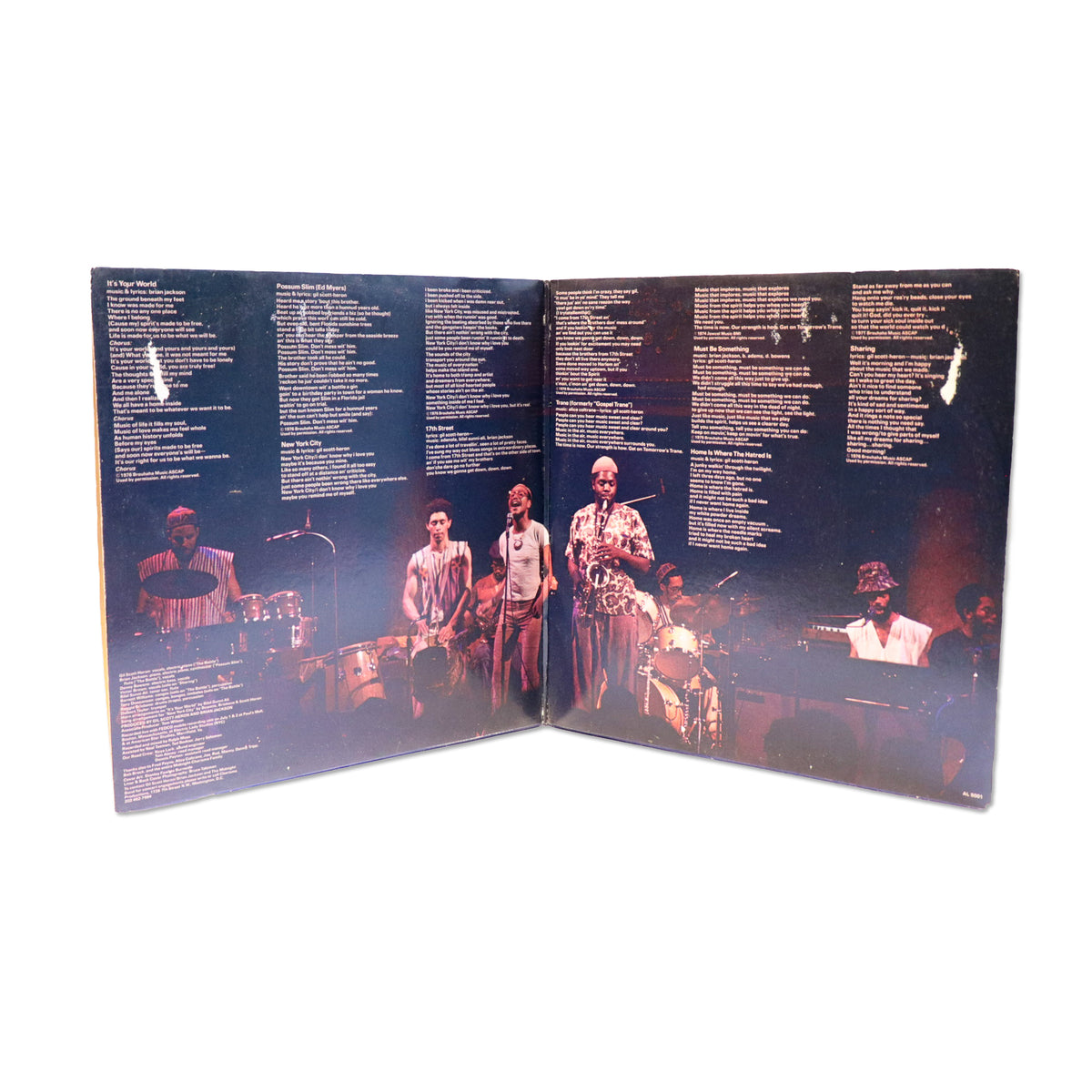 GIL SCOTT HERON / It's Your World