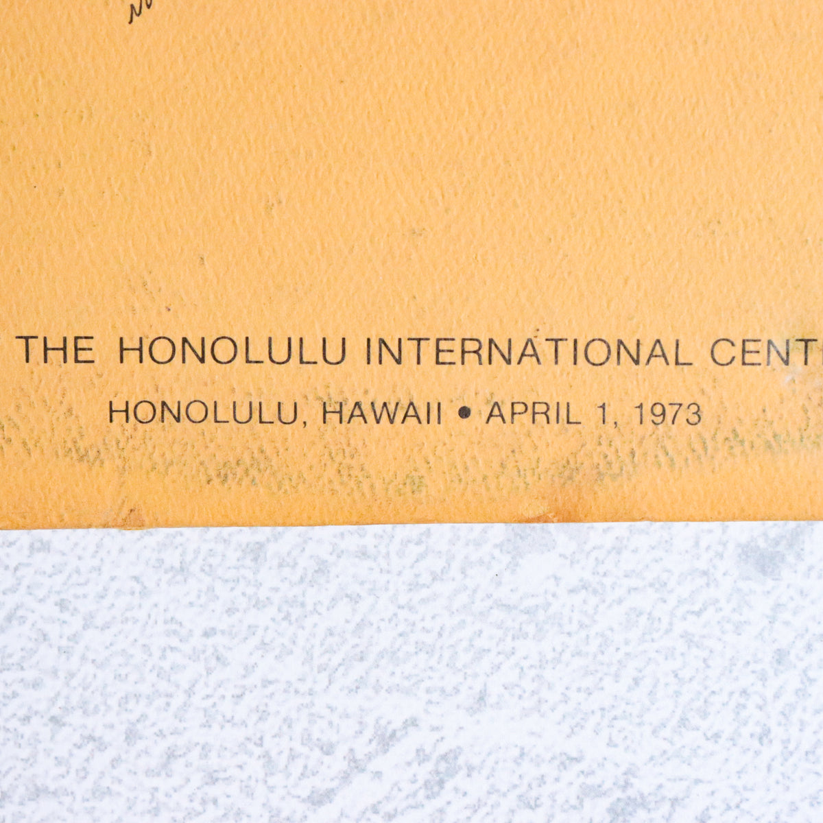 VA / Hawaii's Stars Present Hawaii's Youth