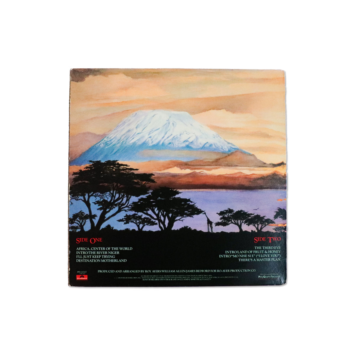 ROY AYERS / Center Of The World