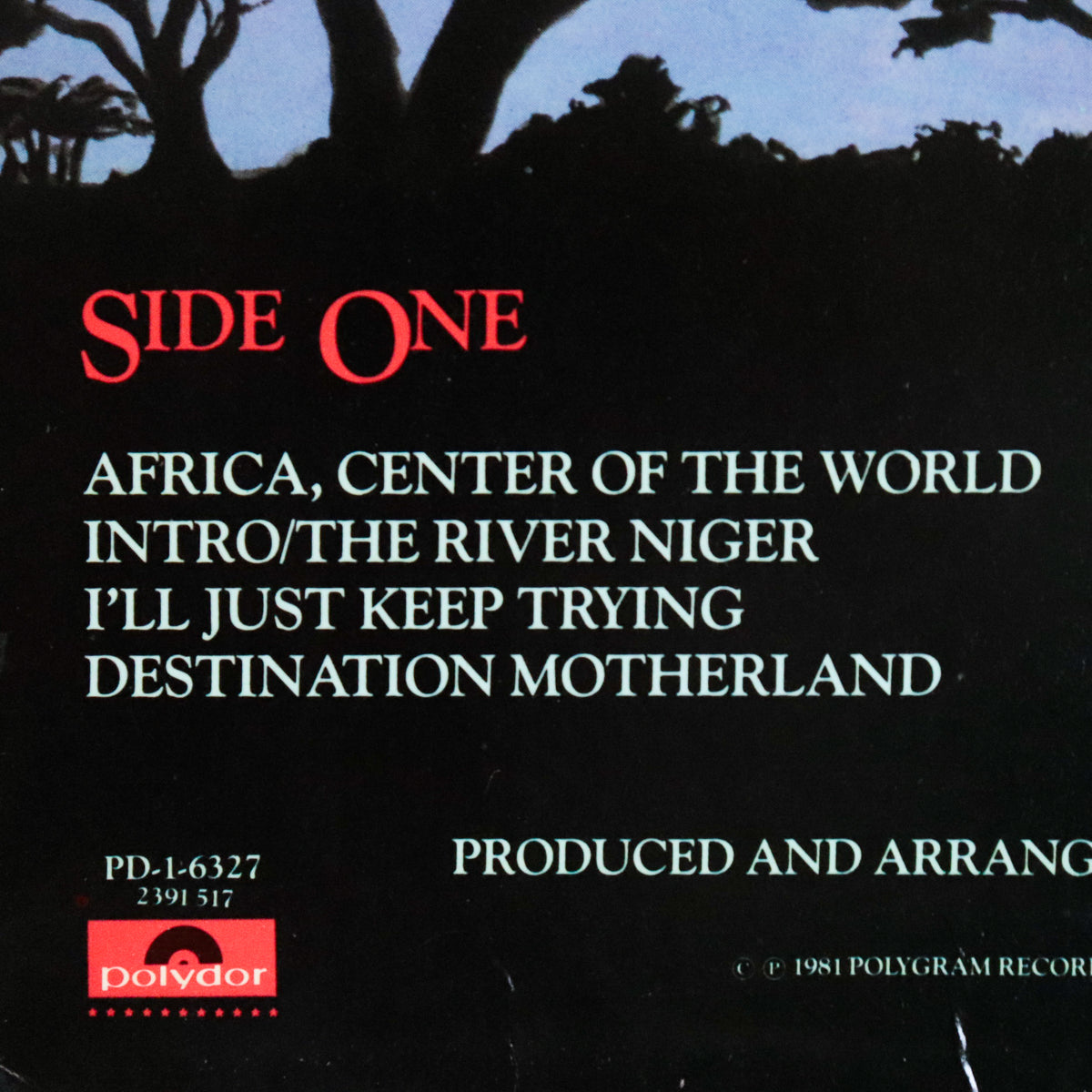 ROY AYERS / Center Of The World
