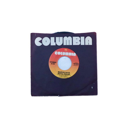 MARVIN GAYE / Sexual Healing