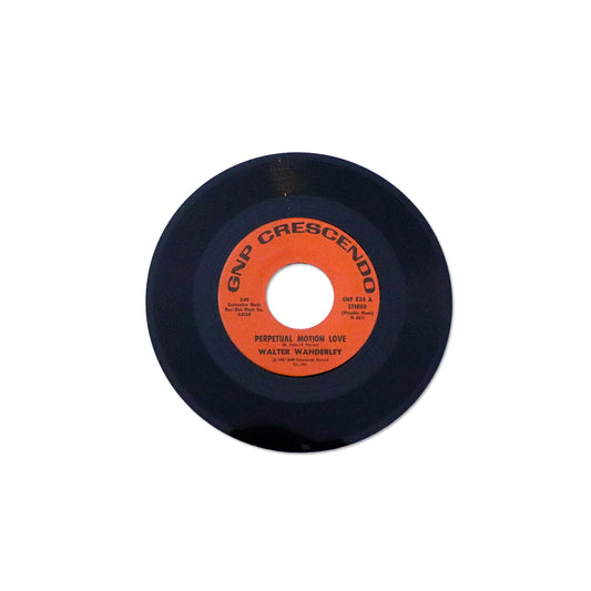 WALTER WANDERLEY / Perpetual Motion Love