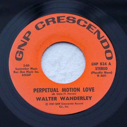 WALTER WANDERLEY / Perpetual Motion Love