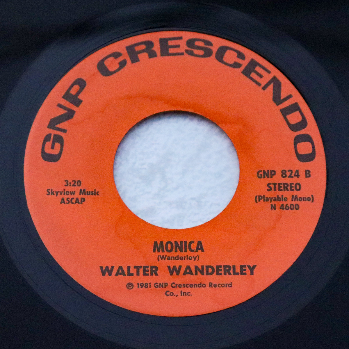 WALTER WANDERLEY / Perpetual Motion Love