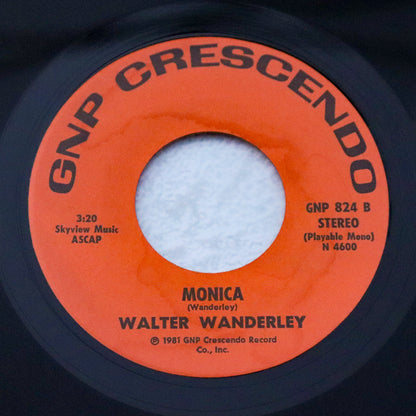 WALTER WANDERLEY / Perpetual Motion Love